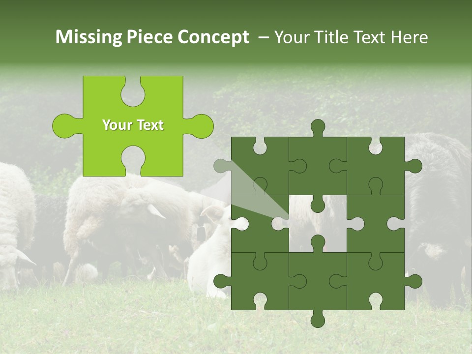 Carpathian Mountains Guard Tatra Mountains PowerPoint Template