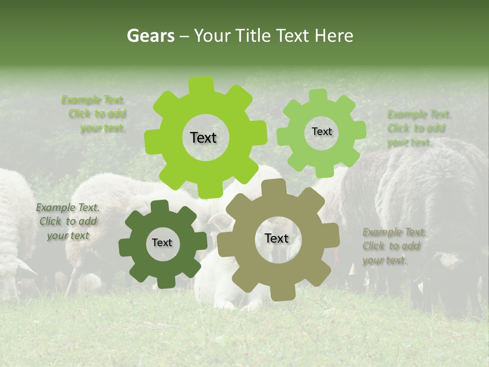 Carpathian Mountains Guard Tatra Mountains PowerPoint Template