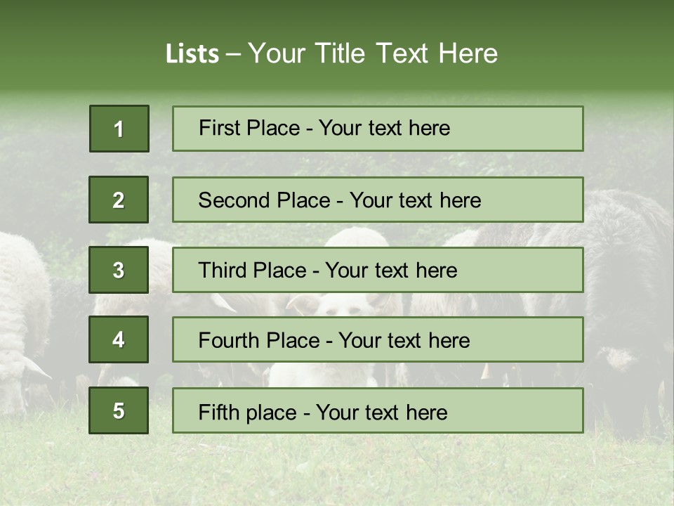Carpathian Mountains Guard Tatra Mountains PowerPoint Template