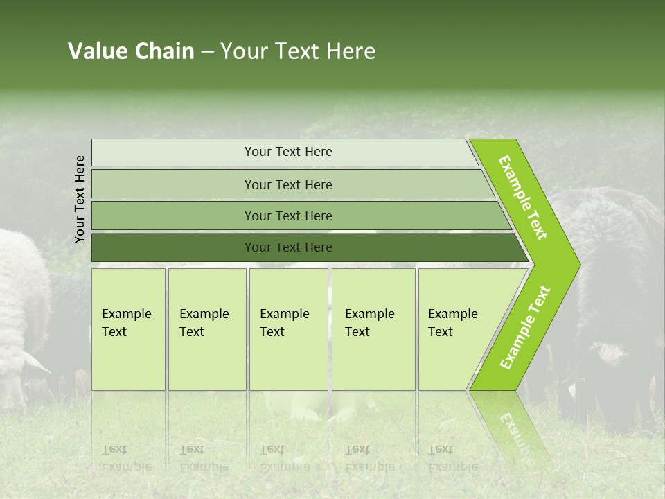 Carpathian Mountains Guard Tatra Mountains PowerPoint Template