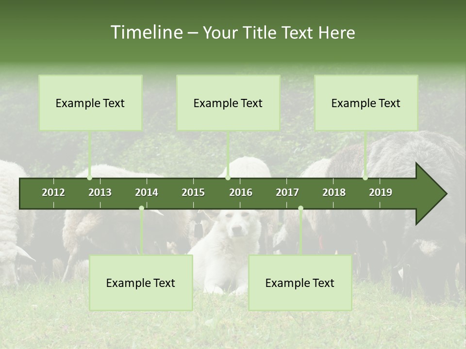 Carpathian Mountains Guard Tatra Mountains PowerPoint Template