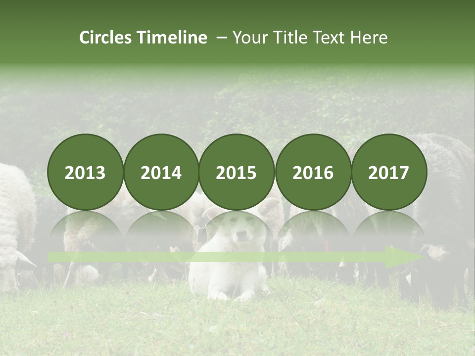 Carpathian Mountains Guard Tatra Mountains PowerPoint Template