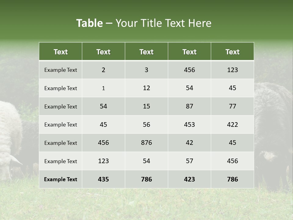 Carpathian Mountains Guard Tatra Mountains PowerPoint Template