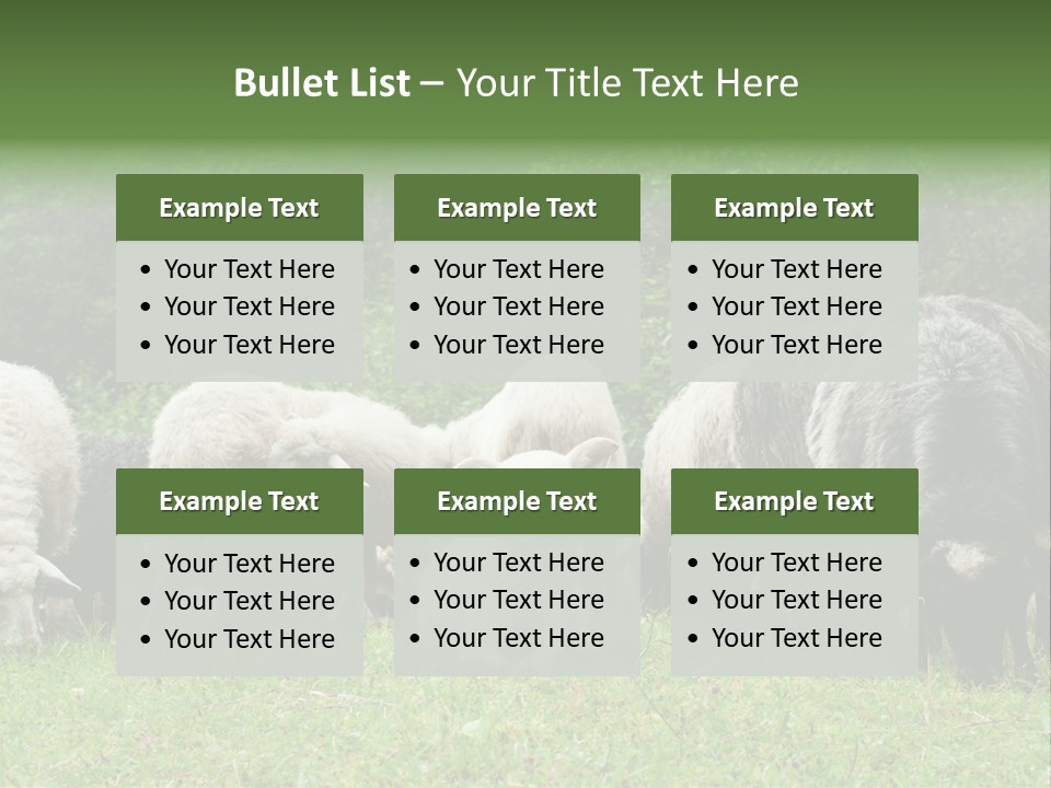 Carpathian Mountains Guard Tatra Mountains PowerPoint Template