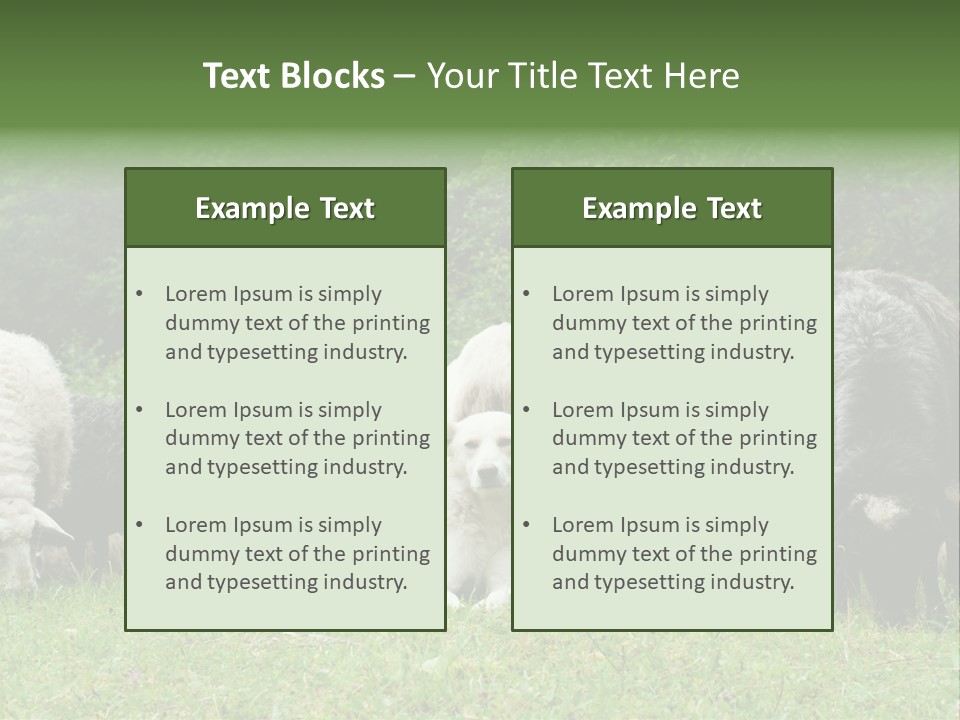 Carpathian Mountains Guard Tatra Mountains PowerPoint Template