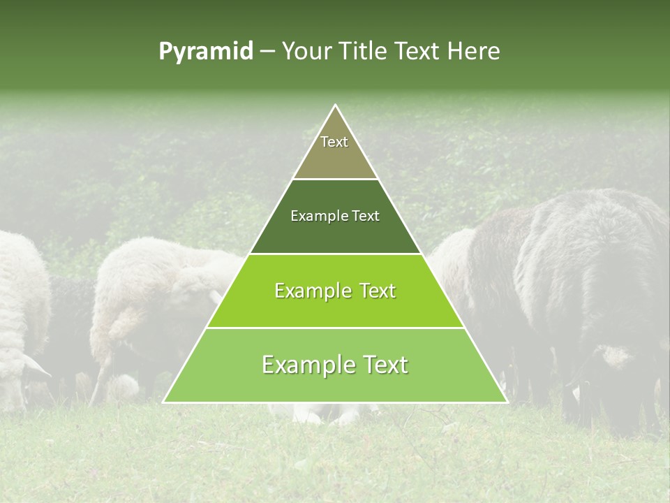 Carpathian Mountains Guard Tatra Mountains PowerPoint Template