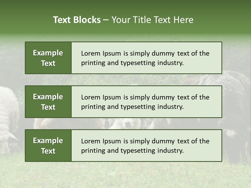 Carpathian Mountains Guard Tatra Mountains PowerPoint Template