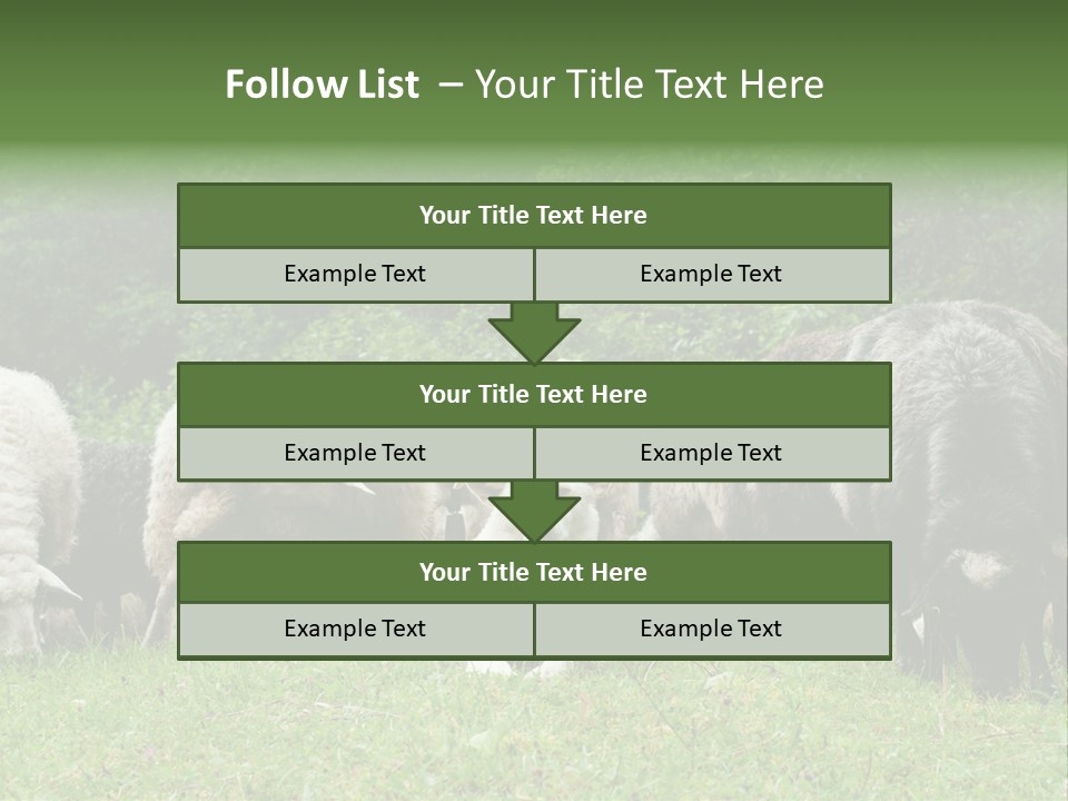 Carpathian Mountains Guard Tatra Mountains PowerPoint Template