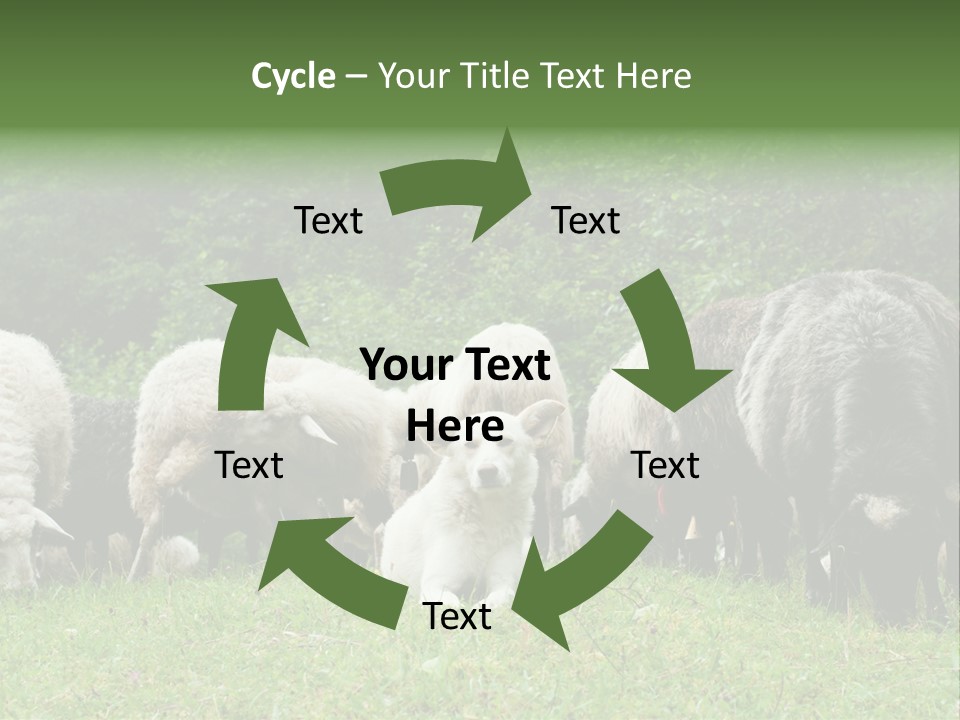 Carpathian Mountains Guard Tatra Mountains PowerPoint Template