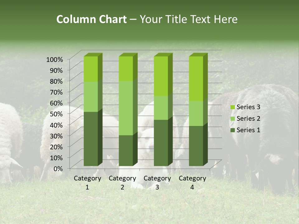Carpathian Mountains Guard Tatra Mountains PowerPoint Template