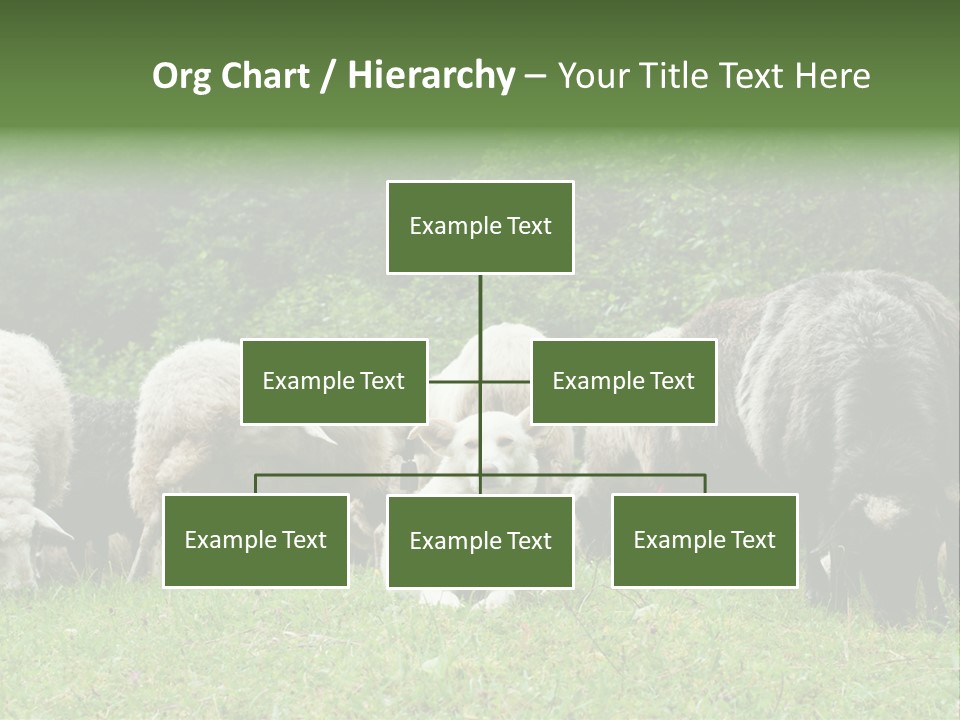 Carpathian Mountains Guard Tatra Mountains PowerPoint Template