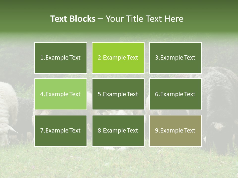 Carpathian Mountains Guard Tatra Mountains PowerPoint Template