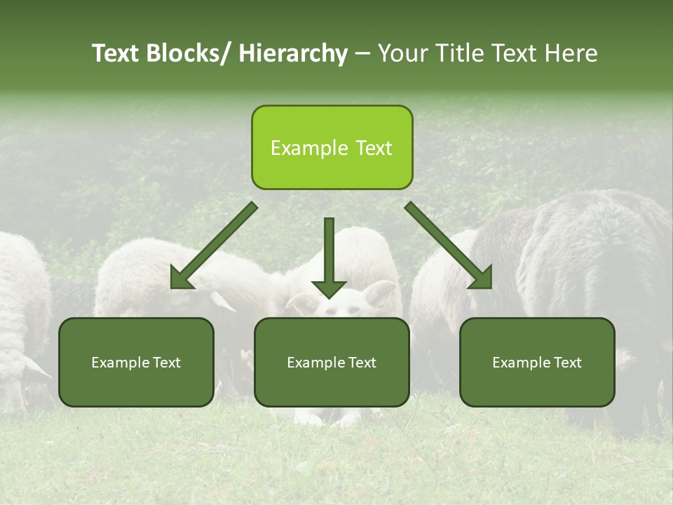 Carpathian Mountains Guard Tatra Mountains PowerPoint Template