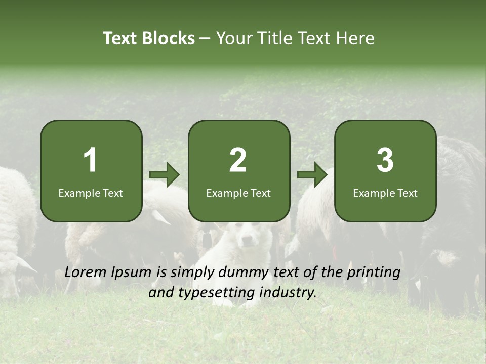 Carpathian Mountains Guard Tatra Mountains PowerPoint Template