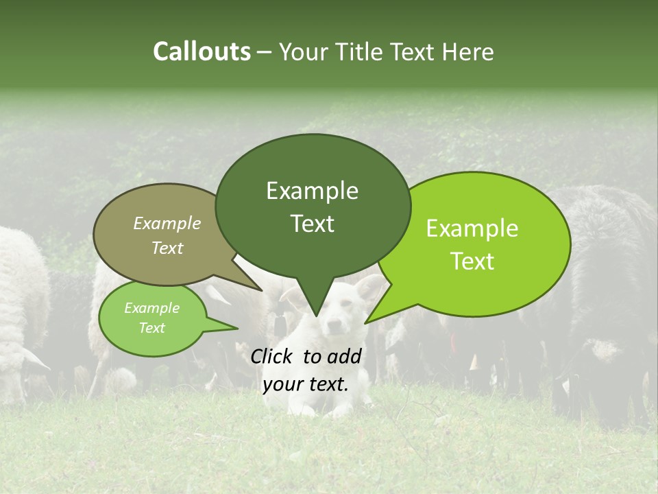 Carpathian Mountains Guard Tatra Mountains PowerPoint Template