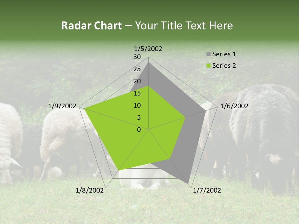 Carpathian Mountains Guard Tatra Mountains PowerPoint Template