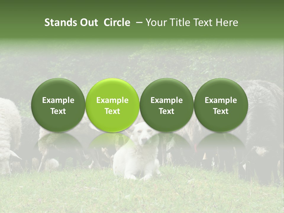 Carpathian Mountains Guard Tatra Mountains PowerPoint Template