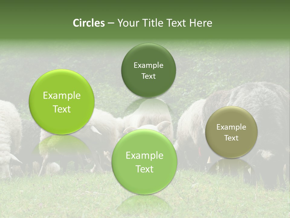 Carpathian Mountains Guard Tatra Mountains PowerPoint Template