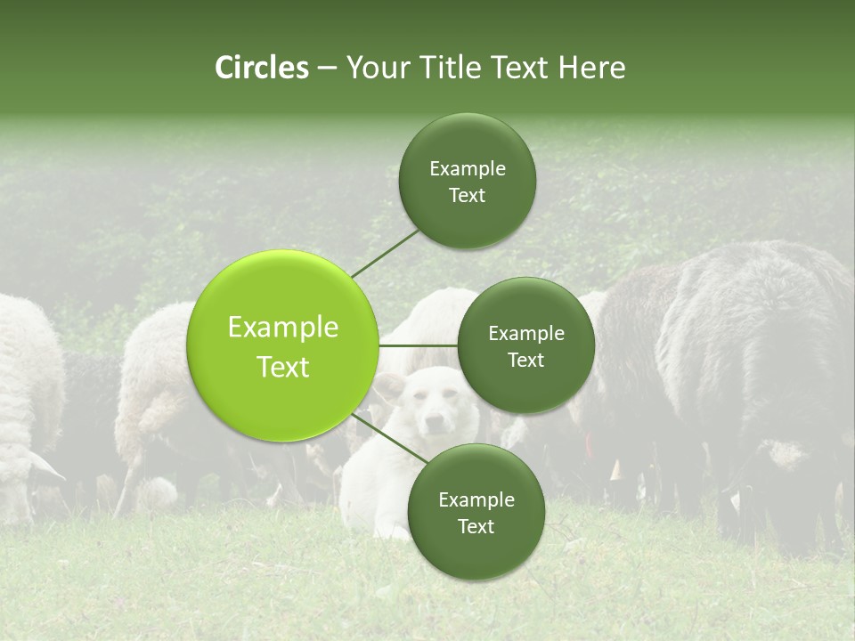 Carpathian Mountains Guard Tatra Mountains PowerPoint Template