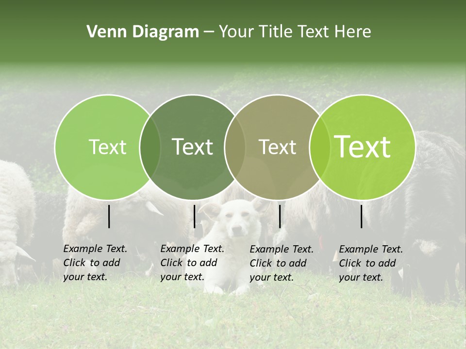 Carpathian Mountains Guard Tatra Mountains PowerPoint Template