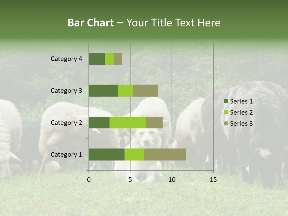 Carpathian Mountains Guard Tatra Mountains PowerPoint Template