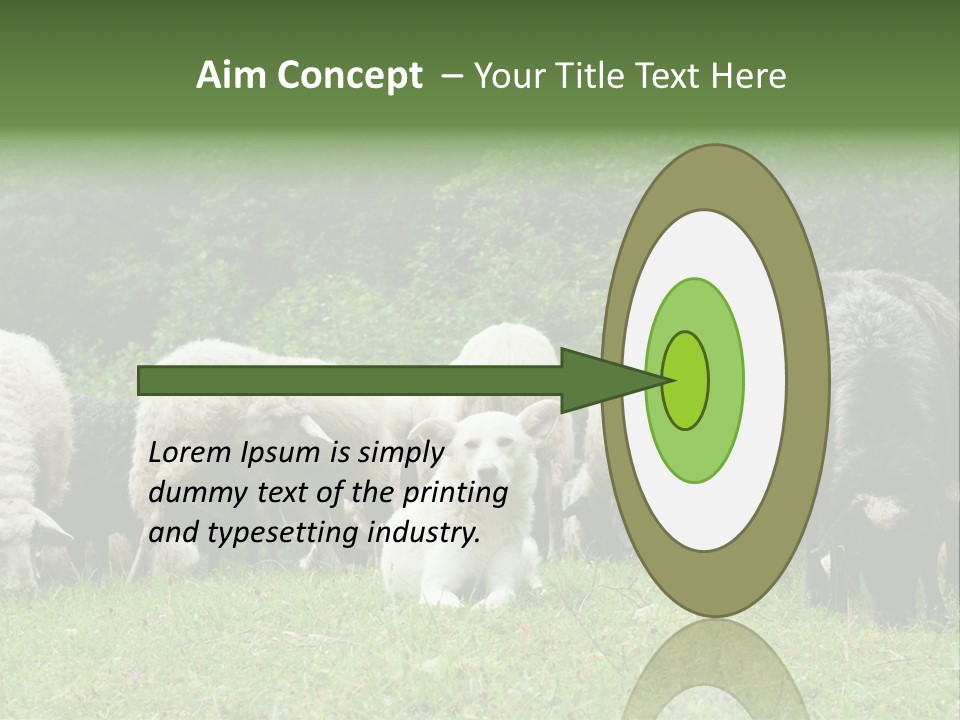 Carpathian Mountains Guard Tatra Mountains PowerPoint Template