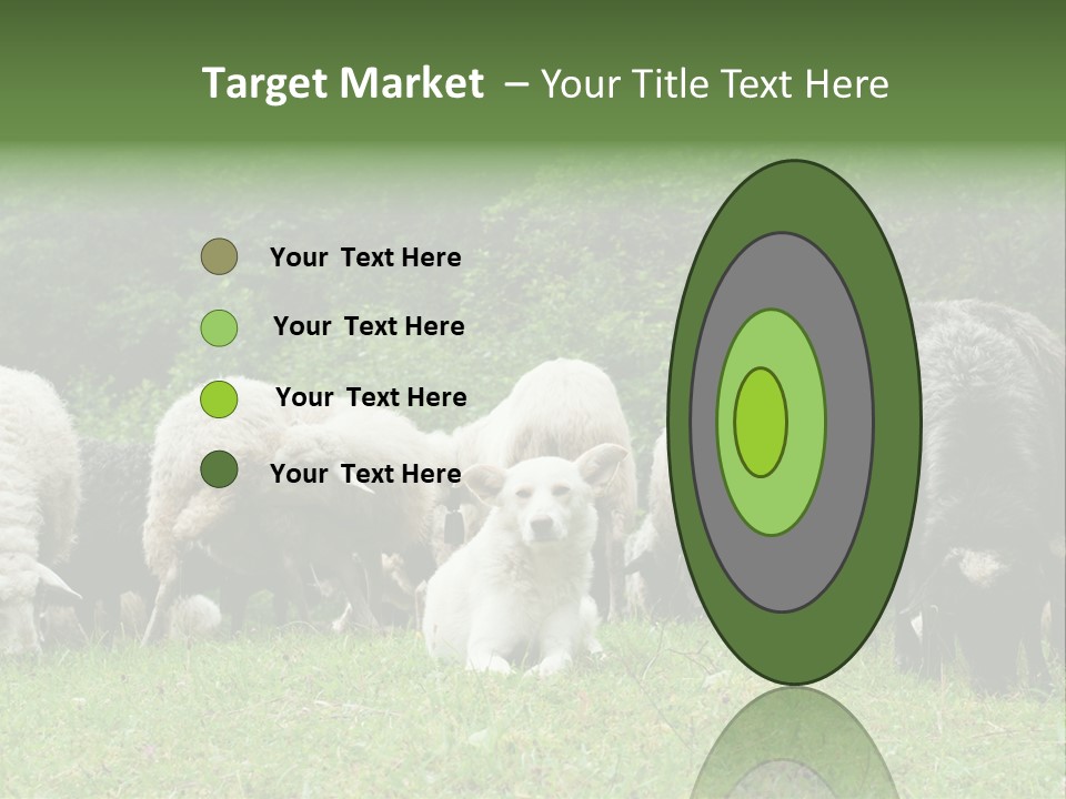 Carpathian Mountains Guard Tatra Mountains PowerPoint Template