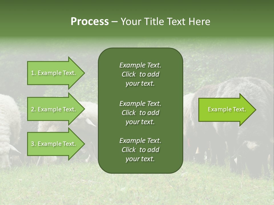 Carpathian Mountains Guard Tatra Mountains PowerPoint Template