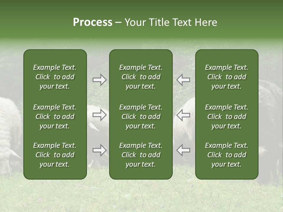 Carpathian Mountains Guard Tatra Mountains PowerPoint Template