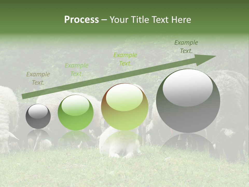 Carpathian Mountains Guard Tatra Mountains PowerPoint Template