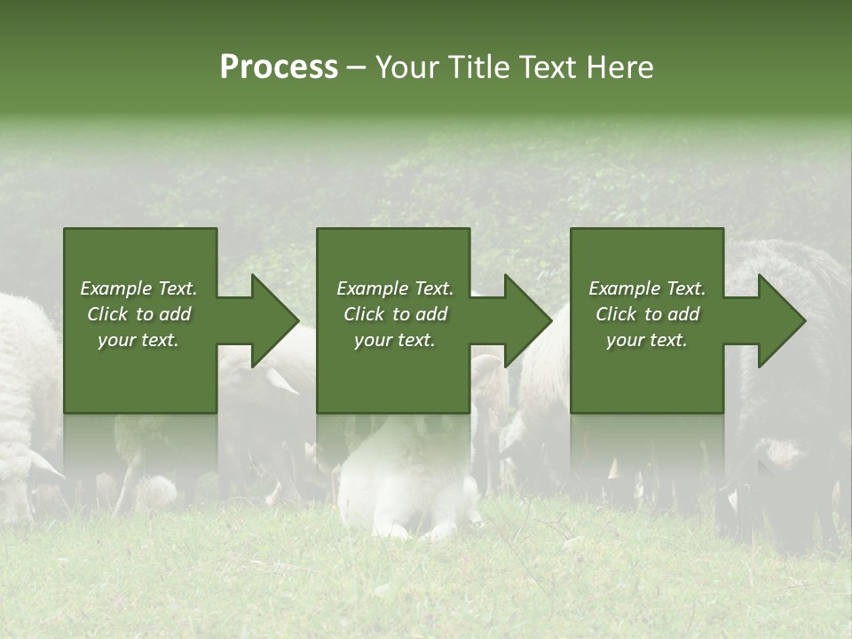 Carpathian Mountains Guard Tatra Mountains PowerPoint Template