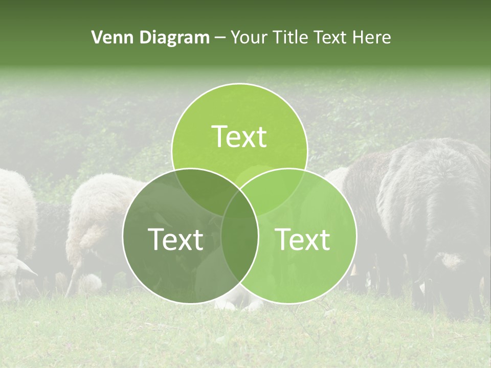 Carpathian Mountains Guard Tatra Mountains PowerPoint Template