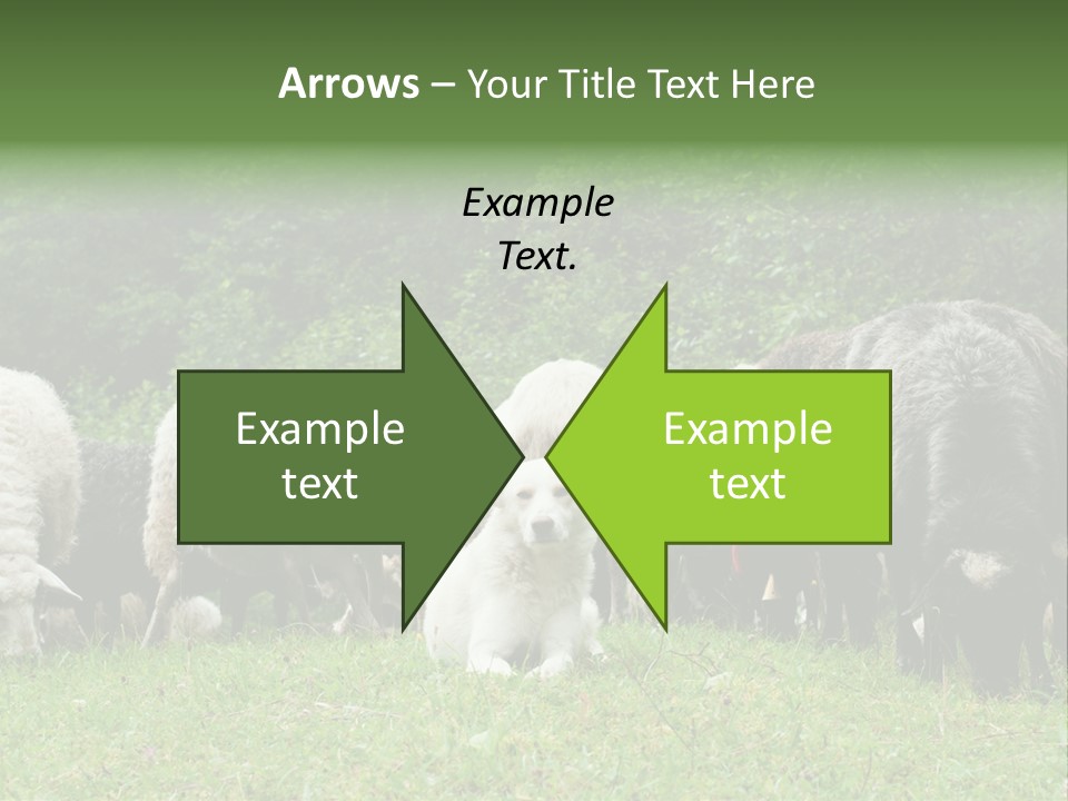 Carpathian Mountains Guard Tatra Mountains PowerPoint Template