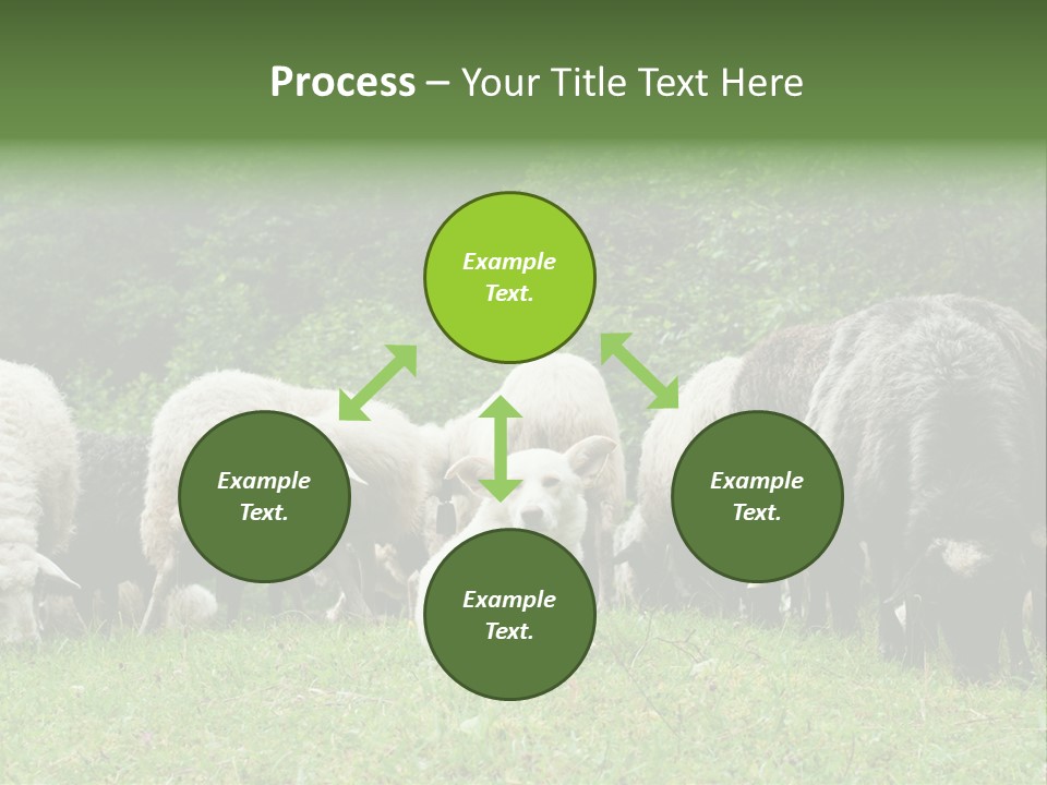 Carpathian Mountains Guard Tatra Mountains PowerPoint Template