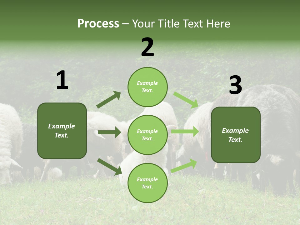 Carpathian Mountains Guard Tatra Mountains PowerPoint Template