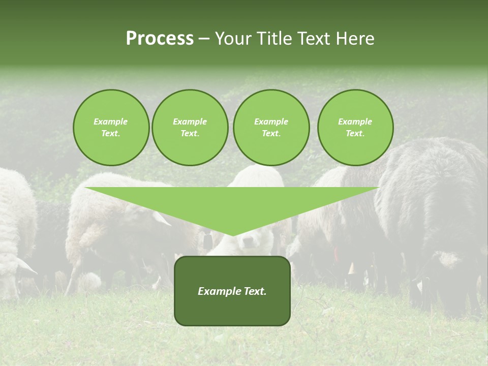 Carpathian Mountains Guard Tatra Mountains PowerPoint Template