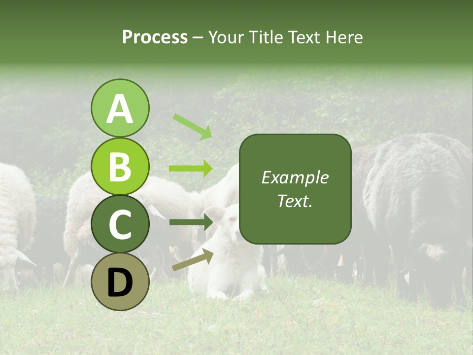 Carpathian Mountains Guard Tatra Mountains PowerPoint Template