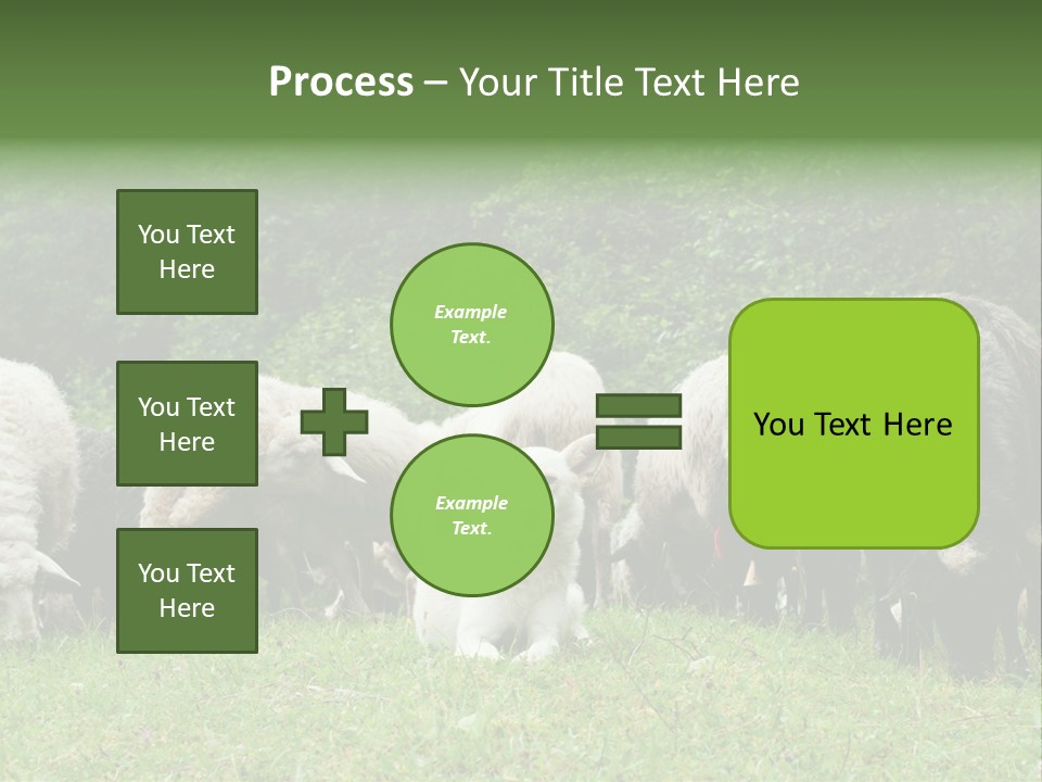 Carpathian Mountains Guard Tatra Mountains PowerPoint Template