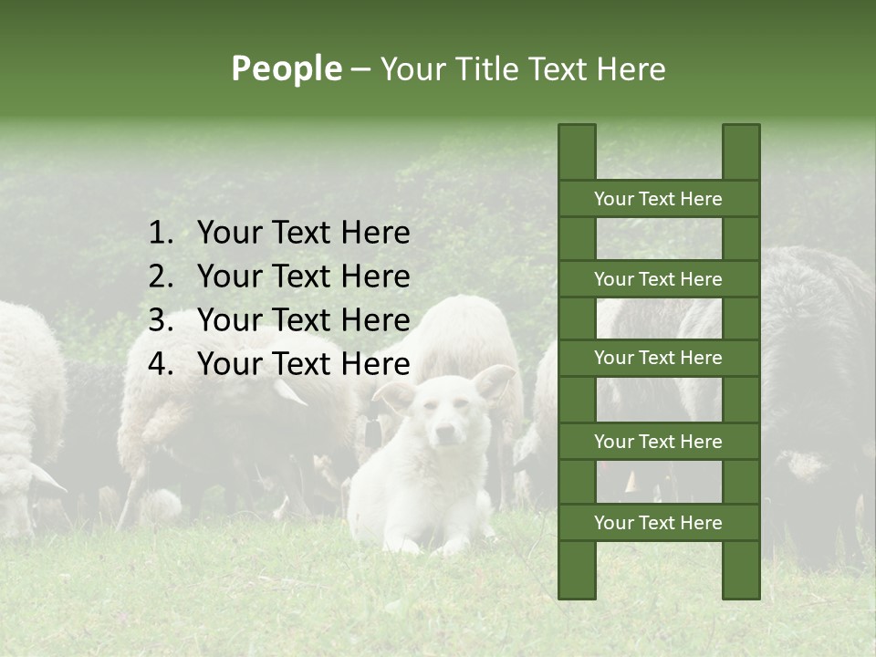 Carpathian Mountains Guard Tatra Mountains PowerPoint Template