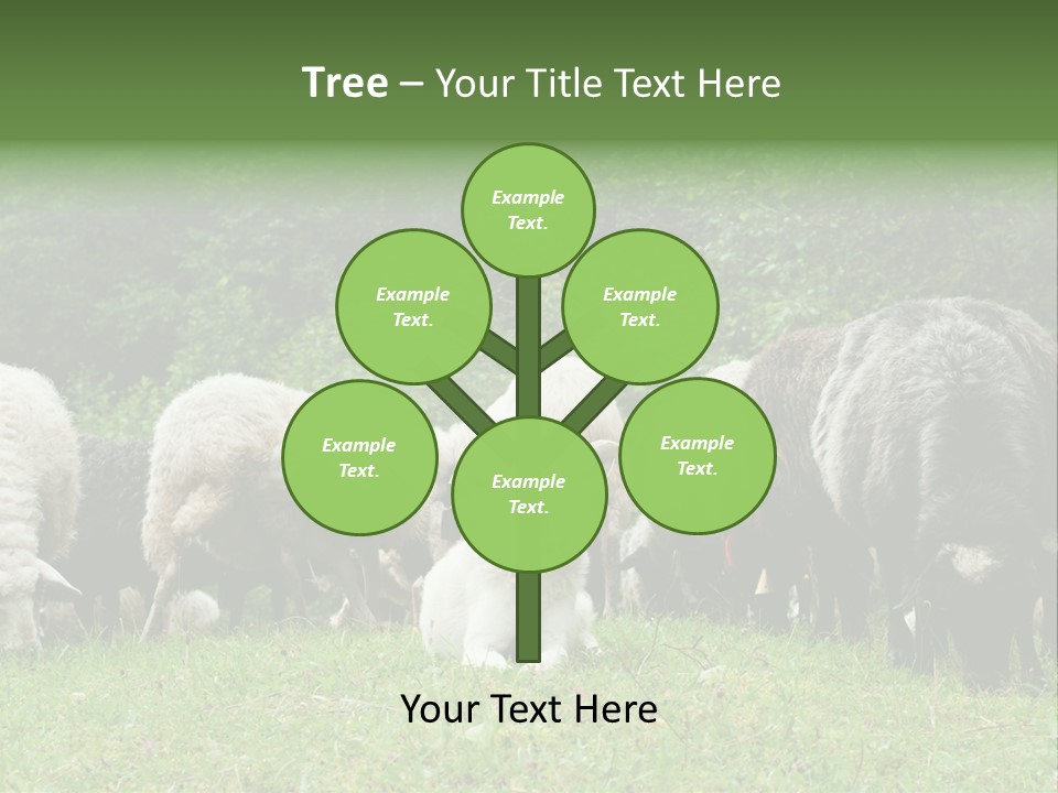 Carpathian Mountains Guard Tatra Mountains PowerPoint Template