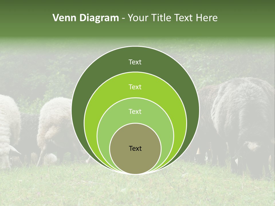 Carpathian Mountains Guard Tatra Mountains PowerPoint Template