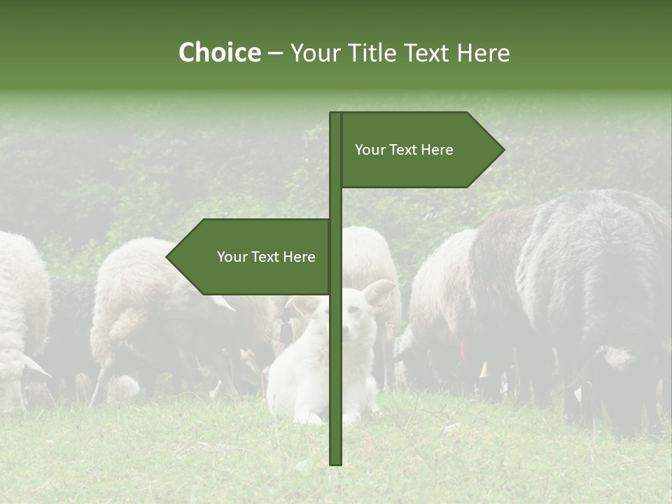 Carpathian Mountains Guard Tatra Mountains PowerPoint Template