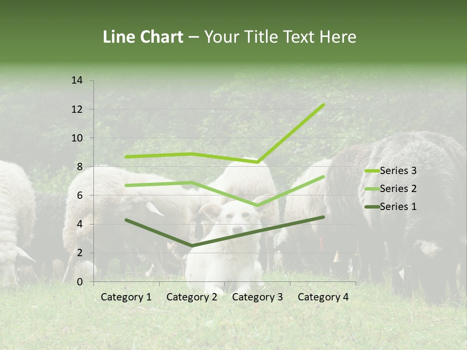 Carpathian Mountains Guard Tatra Mountains PowerPoint Template