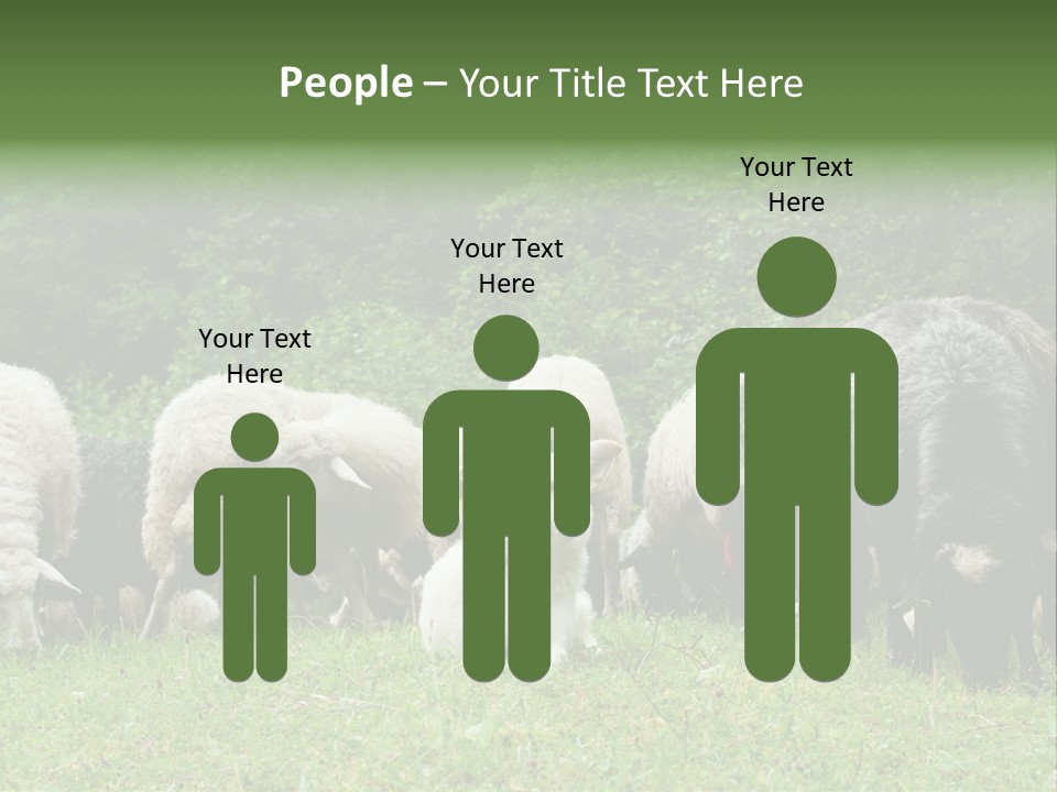 Carpathian Mountains Guard Tatra Mountains PowerPoint Template