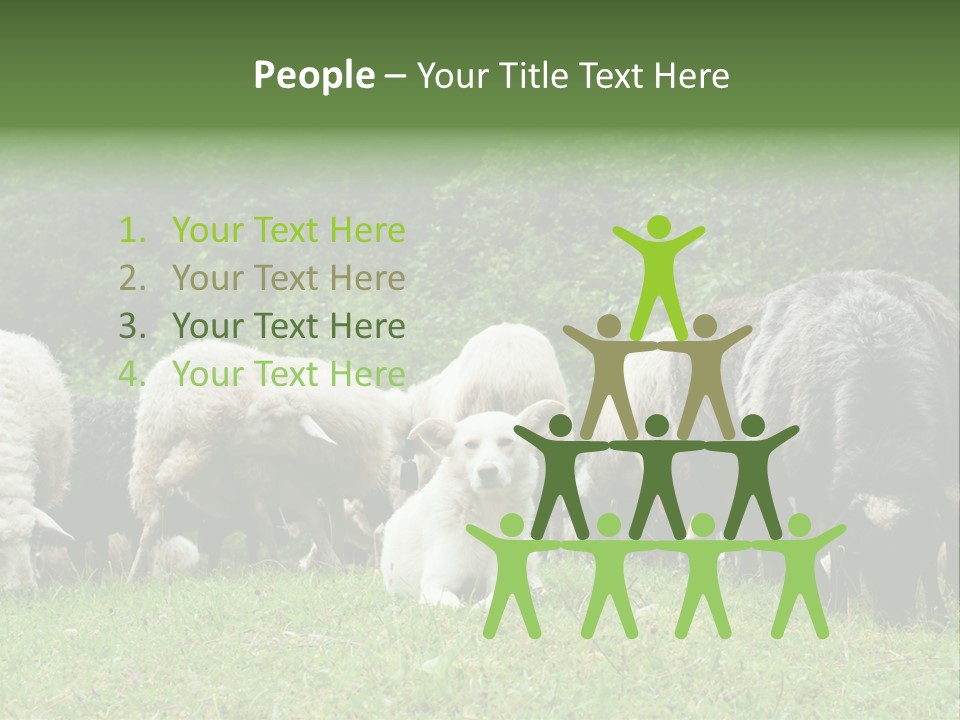 Carpathian Mountains Guard Tatra Mountains PowerPoint Template