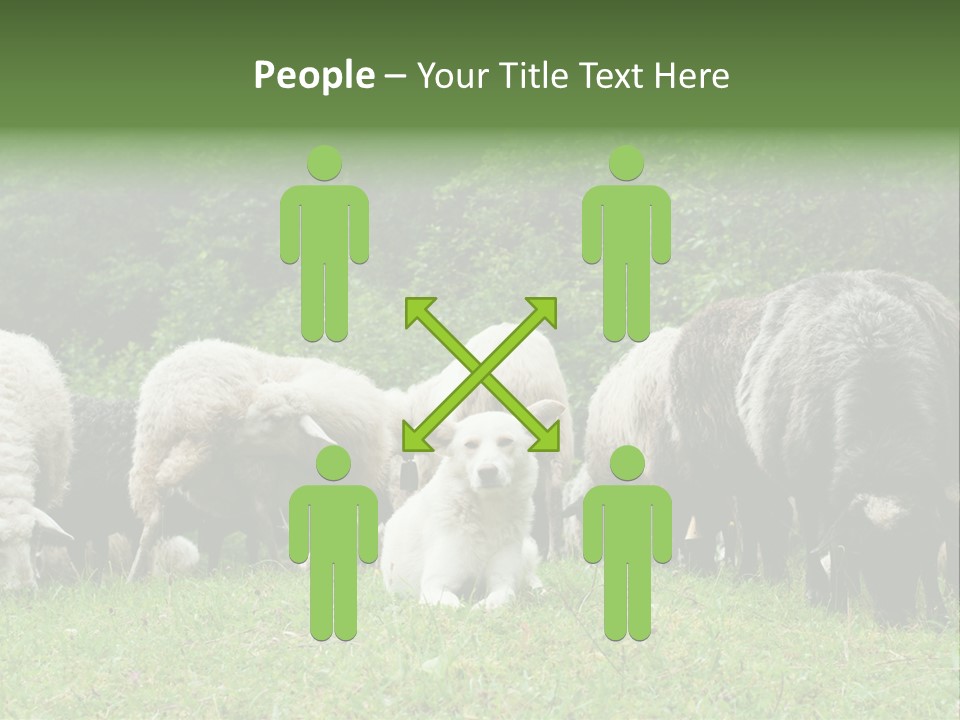 Carpathian Mountains Guard Tatra Mountains PowerPoint Template