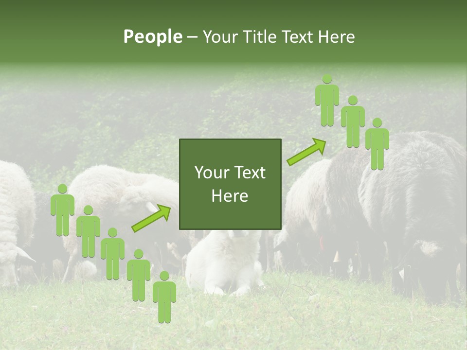 Carpathian Mountains Guard Tatra Mountains PowerPoint Template