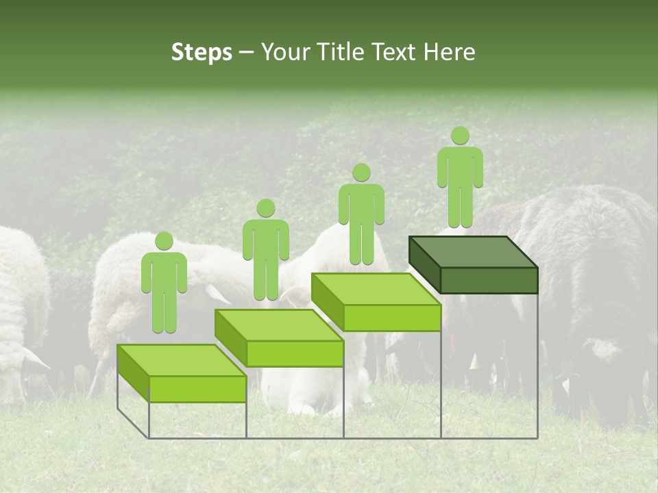 Carpathian Mountains Guard Tatra Mountains PowerPoint Template