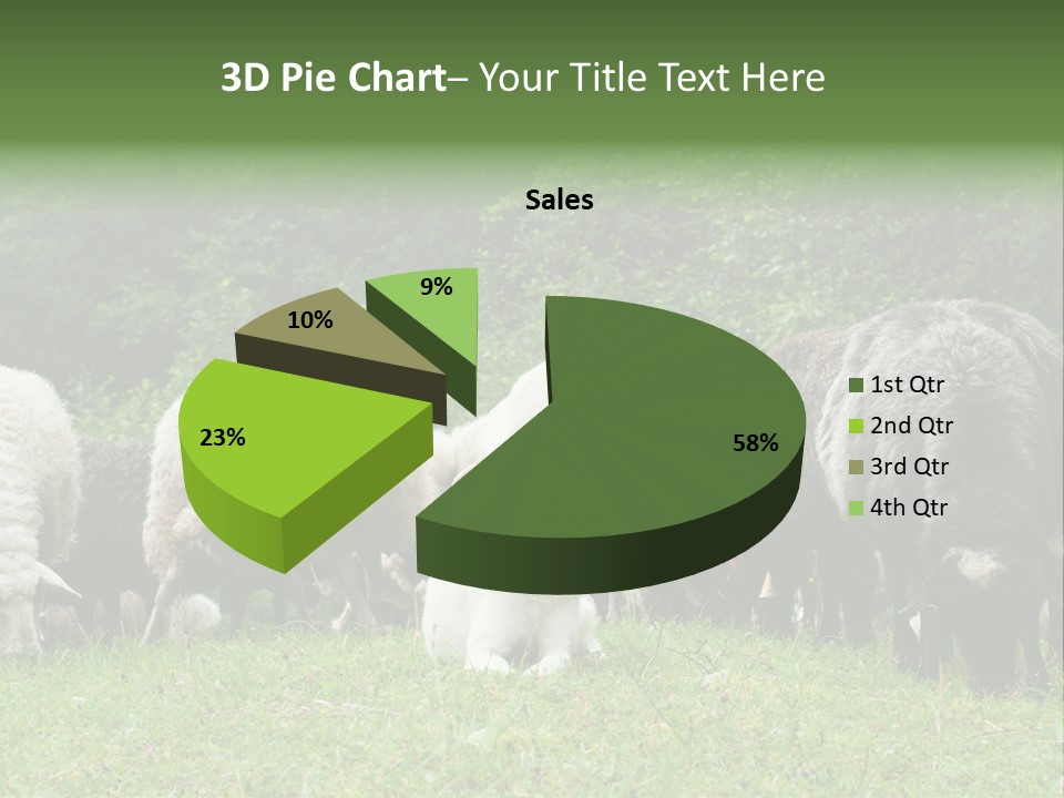 Carpathian Mountains Guard Tatra Mountains PowerPoint Template