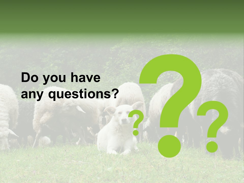 Carpathian Mountains Guard Tatra Mountains PowerPoint Template